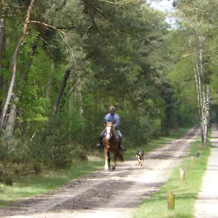 Bakhuisje Hébergement de vacances Emst